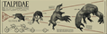 Portrait of Mole Men's evolution in the hideout.